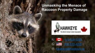 416-429-5393
833-833-4295
hawkeye@hawkeye.ca
Unmasking the Menace of
Raccoon Property Damage
 