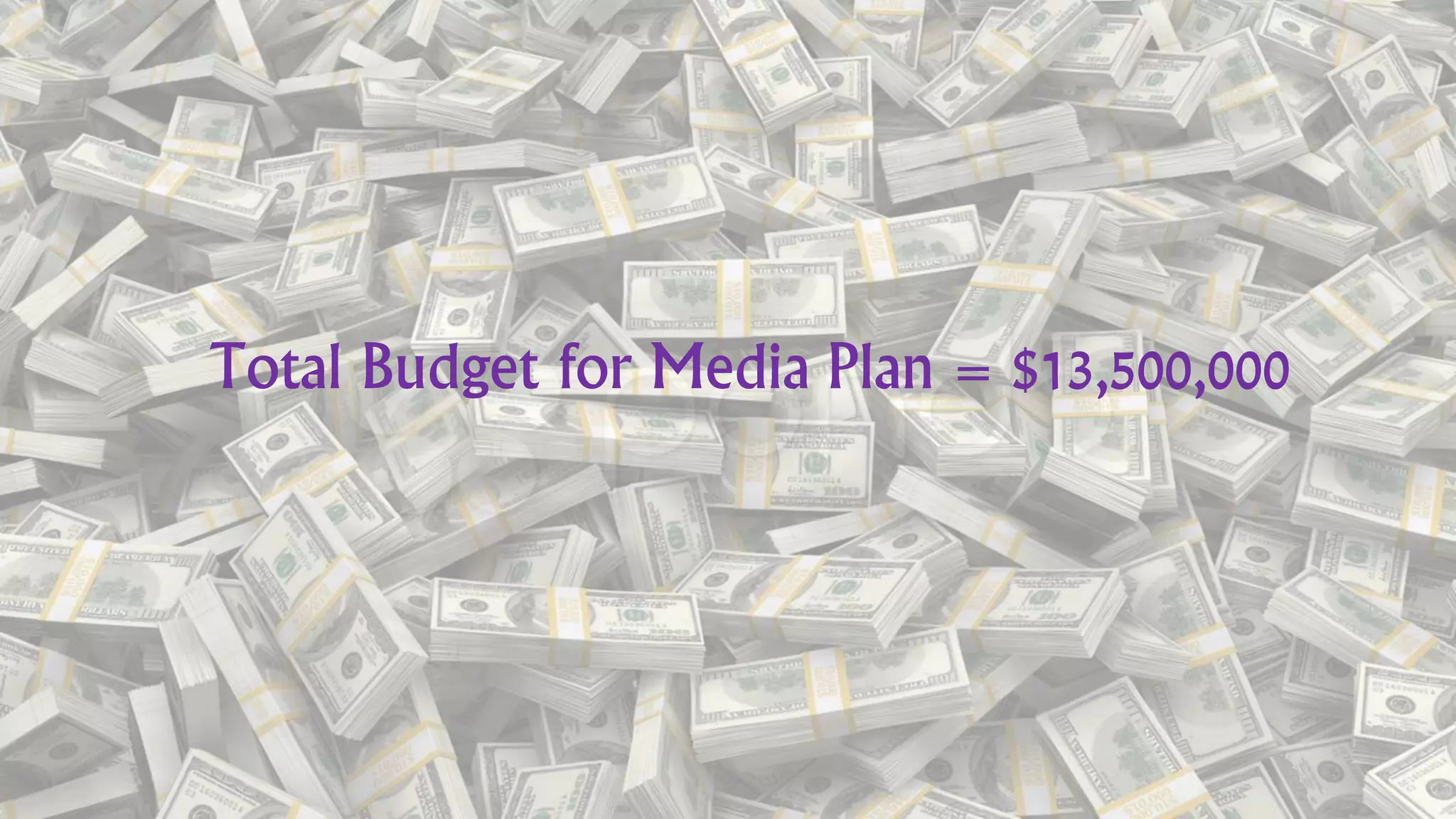 Total Budget for Media Plan = $13,500,000
 