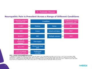 12
Neuropathic Pain is Prevalent Across a Range of Different Conditions
HIV = human immunodeficiency virus
1. Sadosky A et al. Pain Pract 2008; 8(1):45-56; 2. Davis MP, Walsh D. Am J Hosp Palliat Care 2004; 21(2):137-42; 3. So YT et al. Arch Neurol 1988;
45(9):945-8; 4. Schifitto G et al. Neurology 2002; 58(12):1764-8; 5. Morgello S et al. Arch Neurol 2004; 61(4):546-51; 6. Stevens PE et al. Pain 1995;
61(1):61-8; 7. Smith WC et al. Pain 1999; 83(1):91-5; 8. Freynhagen R et al. Curr Med Res Opin 2006; 22(10):1911-20; 9. Andersen G et al. Pain 1995;
61(2):187-93; 10. Siddall PJ et al. Pain. 2003; 103(3):249-57; 11. Rae-Grant AD et al. Mult Scler 1999; 5(3):179-83.
11–26%1
~33%2
35–53%3–5
20–43% of
mastectomy
patients6,7
Up to 37%8
Diabetes
Cancer
HIV
Post-surgical
Postherpetic
neuralgia
Chronic low back
pain
8%9
75%10
~55%11
Stroke
Spinal cord injury
Multiple sclerosis
7–27% of patients
with herpes zoster1
Condition
% affected by peripheral
neuropathic pain
% affected by central
neuropathic pain
3 – Systemic Disease
 