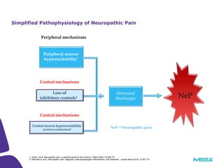 21
Simplified Pathophysiology of Neuropathic Pain
1. Gilron I et al. Neuropathic pain: a practical guide for the clinician, CMAJ 2006;175:265-75.
2- Ralf Baron, et al, Neuropathic pain: diagnosis, pathophysiological mechanisms, and treatment.. Lancet Neurol 2010; 9: 807–19
NeP
Peripheral mechanisms
Abnormal
discharges
Central mechanisms
Peripheral neuron
hyperexcitability1
Loss of
inhibitory controls1,2
Central mechanisms
Central neuron hyperexcitability
(central sensitization)1 NeP = Neuropathic pain
 