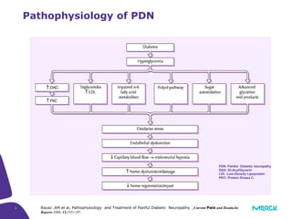 PDN: Painful Diabetic neuropathy
DAG :Di-AcylGlycerol
LDL :Low-Density Lipoprotein
PKC: Protein Kinase C.
Rayaz .AM et al, Pathophysiology and Treatment of Painful Diabetic Neuropathy ,Current Pain and Headache
Reports 2008, 12:192–197
3
Pathophysiology of PDN
 