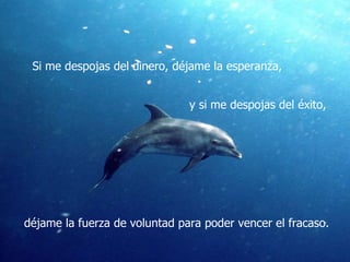 Si me despojas del dinero, déjame la esperanza,  y si me despojas del éxito,  déjame la fuerza de voluntad para poder vencer el fracaso. 