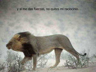 y si me das fuerzas, no quites mi raciocinio. 