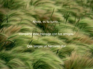 Ahora, es tu turno… comparte este mensaje con tus amigos. Que tengas un hermoso dia! 