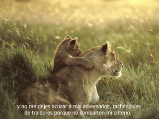 y no me dejes acusar a mis adversarios, tachándoles de traidores porque no comparten mi criterio.  
