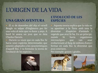 UNA GRAN AVENTURA
 El 27 de desembre del 1831 el vaixell
Beagle va salpar d’Anglaterra per fer
una volta al món que va durar 5 anys. A
bord hi anava un jove que es deia
Charles Darwin.
 Darwin va veure que en cada lloc hi
havia unes espècies determinades que
estaven adaptades a les característiques
d’aquell lloc. I va formular la teoria de
l’evolució de les espècies.
 Aquesta teoria explica que la vida no
va aparèixer a la Terra amb tota la
diversitat d’espècies d’animals i
vegetals que avui hi ha. En un principi,
només hi havia organismes
microscòpics que van anar
evolucionant al llarg de milions d’anys i
formar en cada lloc la diversitat que
avui coneixem.
Per exemple: gossos i girafes.
L’EVOLUCIÓ DE LES
ESPÈCIES
 