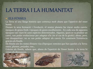 ELS FÒSSILS
La Terra té una llarga història que comença molt abans que l’aparició del esser
humà.
Durant la seva formació i l’evolució, el nostre planeta ha viscut molts canvis:
èpoques de grans freds i èpoques de grans escalfaments . En cada una de aquestes
èpoques van viure-hi unes espècies determinades. Algunes, quan es va produir un
canvi, van poder evolucionar per adaptar-s’hi (és el cas de la girafa); altres, però,
van desaparèixer: no es van poder adaptar als canvis. En coneixem l’existència
gràcies als fòssils.
Els fòssils són les restes d’éssers vius d’èpoques remotes que han quedat a la Terra:
ossos, plantes, petjades, ous...
Gràcies als fòssils, sabem que, abans de l’aparició de l’ésser humà, a la terra hi
vivien els dinosaures.
 