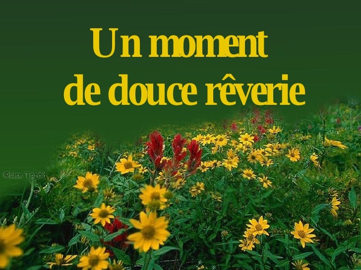 Douce Reverie