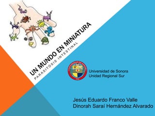 Universidad de Sonora
Unidad Regional Sur
Jesús Eduardo Franco Valle
Dinorah Saraí Hernández Alvarado
 