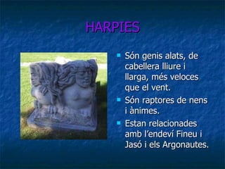 HARPIES Són genis alats, de cabellera lliure i llarga, més veloces que el vent. Són raptores de nens i ànimes. Estan relacionades amb l’endeví Fineu i Jasó i els Argonautes . 