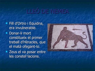 LLEÓ DE NEMEA Fill d’Ortro i Equidna, era invulnerable. Donar-li mort constitueix el primer treball d’Hèracles, que el matà ofegant-lo. Zeus el va posar entre les constel·lacions . 