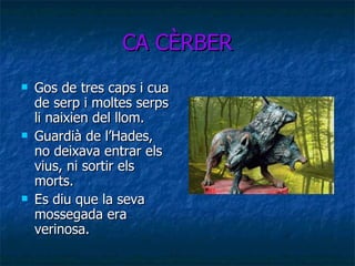 CA CÈRBER Gos de tres caps i cua de serp i moltes serps li naixien del llom. Guardià de l’Hades, no deixava entrar els vius, ni sortir els morts. Es diu que la seva mossegada era verinosa. 