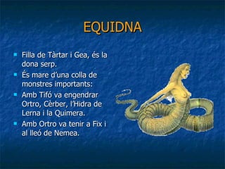 EQUIDNA Filla de Tàrtar i Gea, és la dona serp. És mare d’una colla de monstres importants:  Amb Tifó va engendrar Ortro, Cèrber, l’Hidra de Lerna i la Quimera. Amb Ortro va tenir a Fix i al lleó de Nemea. 