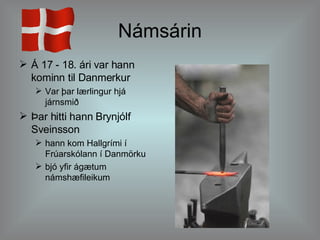 Námsárin Á 17 - 18. ári var hann kominn til Danmerkur Var þar lærlingur hjá járnsmið Þar hitti hann Brynjólf Sveinsson hann kom Hallgrími í Frúarskólann í Danmörku bjó yfir ágætum námshæfileikum 
