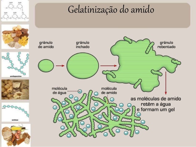 Apresentação sobre amidos