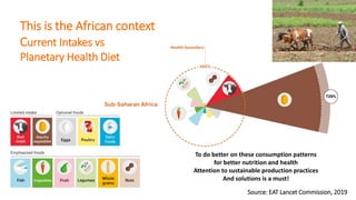 Opportunities for Africa to address all forms of malnutrition: How can the UN Nutrition Strategy 2022–2030 contribute?