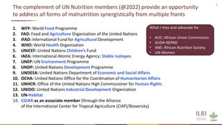 Opportunities for Africa to address all forms of malnutrition: How can the UN Nutrition Strategy 2022–2030 contribute?