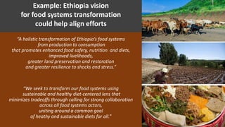 Opportunities for Africa to address all forms of malnutrition: How can the UN Nutrition Strategy 2022–2030 contribute?