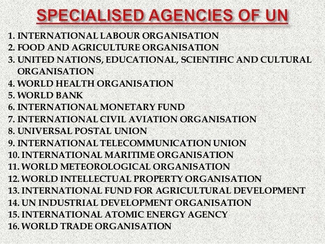 Essay on the united nations
