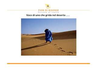Voce di uno che grida nel deserto …..
 