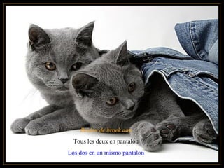 Beiden de broek aan
Tous les deux en pantalon
Los dos en un mismo pantalon
 