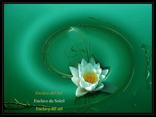 Enclave del Sol
Enclave du Soleil
Enclave del sol
 