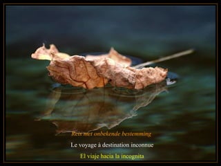 Reis met onbekende bestemming
Le voyage à destination inconnue
El viaje hacia la incognita
 