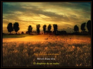 Het licht van een droom
Réveil d'une rêve
El despertar de un sueño
 