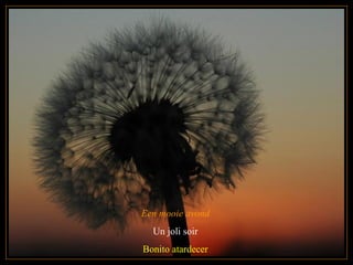 Een mooie avond
Un joli soir
Bonito atardecer
 