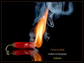 Vurig en pittig
Ardent et énergique
Ardiente
 