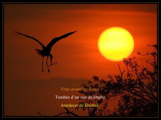 Vrije avond op komst
Tombée d’un soir de liberté
Atardecer de libertad
 