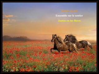 Samen op pad
Ensemble sur le sentier
Juntos en las flores
 