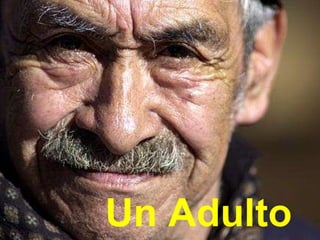 Un Adulto 