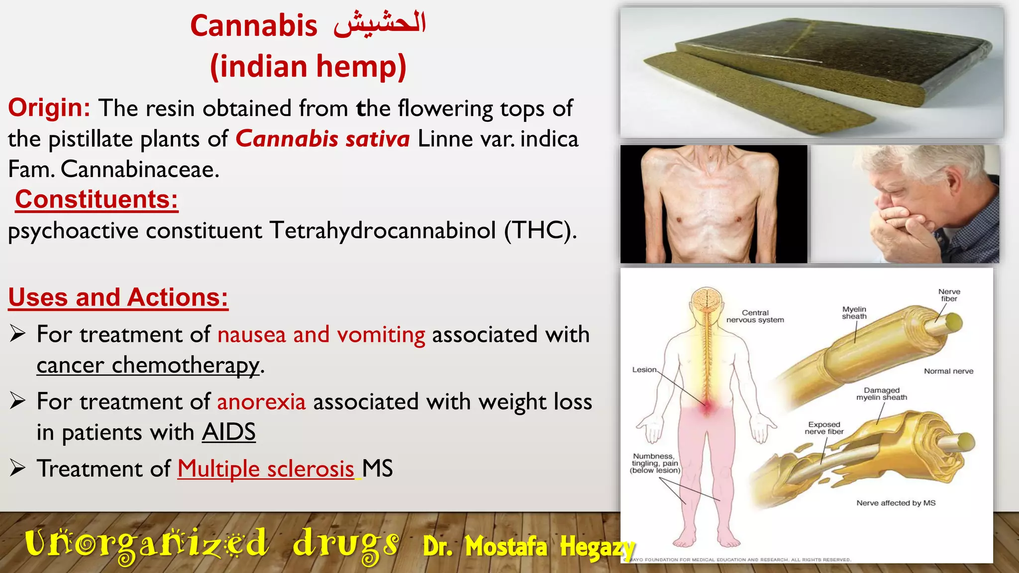 Cannabis ‫الحشيش‬
(indian hemp)
Origin: The resin obtained from the flowering tops of
the pistillate plants of Cannabis sativa Linne var. indica
Fam. Cannabinaceae.
Constituents:
psychoactive constituent Tetrahydrocannabinol (THC).
Uses and Actions:
➢ For treatment of nausea and vomiting associated with
cancer chemotherapy.
➢ For treatment of anorexia associated with weight loss
in patients with AIDS
➢ Treatment of Multiple sclerosis MS
Unorganized drugs Dr. Mostafa Hegazy
 