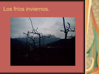 Los fríos inviernos.