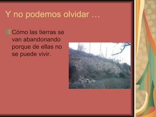 Y no podemos olvidar … Cómo las tierras se van abandonando porque de ellas no se puede vivir.