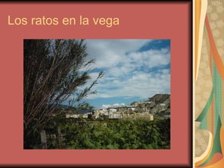 Los ratos en la vega 