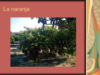 La naranja 