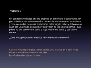 Problema 3


Un gen recesivo ligado al sexo produce en el hombre el daltonismo. Un
gen influido por el sexo determina la calvicie (dominante en los varones
y recesivo en las mujeres). Un hombre heterocigoto calvo y daltónico se
casa con una mujer sin calvicie y con visión de los colores normal, cuyo
padre no era daltónico ni calvo y cuya madre era calva y con visión
normal.

¿Qué fenotipos pueden tener los hijos de este matrimonio?




Caracter influido por el sexo: dominante en uno, recesivo en el otro. No se
encuentran en los cromosomas sexuales.
La calvicie en la mujer es recesiva.
 