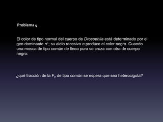 Problema 4


El color de tipo normal del cuerpo de Drosophila está determinado por el
gen dominante n+; su alelo recesivo n produce el color negro. Cuando
una mosca de tipo común de línea pura se cruza con otra de cuerpo
negro:




¿qué fracción de la F2 de tipo común se espera que sea heterocigota?
 