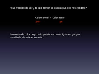 ¿qué fracción de la F2 de tipo común se espera que sea heterocigota?


                      Color normal x Color negro
                      n+n+                  nn




La mosca de color negro solo puede ser homocigota nn, ya que
manifiesta el carácter recesivo
 