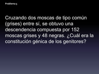 Problema 5




Cruzando dos moscas de tipo común
(grises) entre sí, se obtuvo una
descendencia compuesta por 152
moscas grises y 48 negras. ¿Cuál era la
constitución génica de los genitores?
 