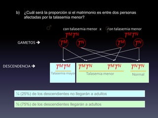 b)   ¿Cuál será la proporción si el matrimonio es entre dos personas
          afectadas por la talasemia menor?

                                con talasemia menor x     con talasemia menor
                               TMTN                              TMTN
      GAMETOS                TM TN                            TM TN


DESCENDENCIA              TMTM            TMTN           TMTN        TNTN
                         Talasemia mayor     Talasemia menor           Normal



     ¼ (25%) de los descendientes no llegarán a adultos

     ¾ (75%) de los descendientes llegarán a adultos
 