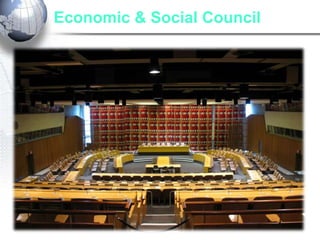 Economic & Social Council
 