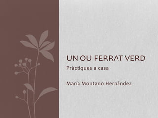 Pràctiques a casa María Montano Hernández Un ou ferrat verd 