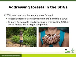 Addressing forests in the SDGs
CIFOR sees two complementary ways forward
 Recognize forests as essential element in multi...