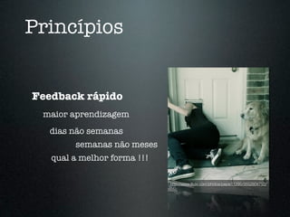 Princípios


Feedback rápido
 maior aprendizagem
  dias não semanas
        semanas não meses
   qual a melhor forma !!!

                             http://www.ﬂickr.com/photos/pepsi11295/3552804750/
 