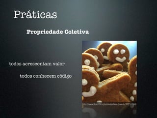Práticas
       Propriedade Coletiva




todos acrescentam valor

    todos conhecem código




                            http://www.ﬂickr.com/photos/endless_beauty/322191546
 