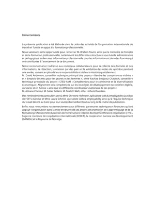 Un panorama de la formation professionnelle en Tunisie (page).pdf
