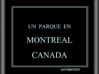 UN  PARQUE  EN MONTREAL CANADA AUTOMATICO 